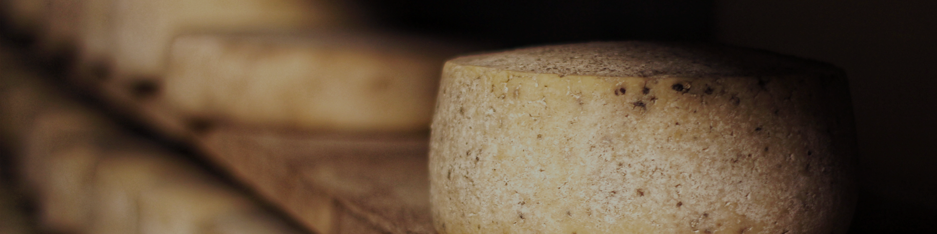 what-connects-hidden-cheese-hero-1920x480