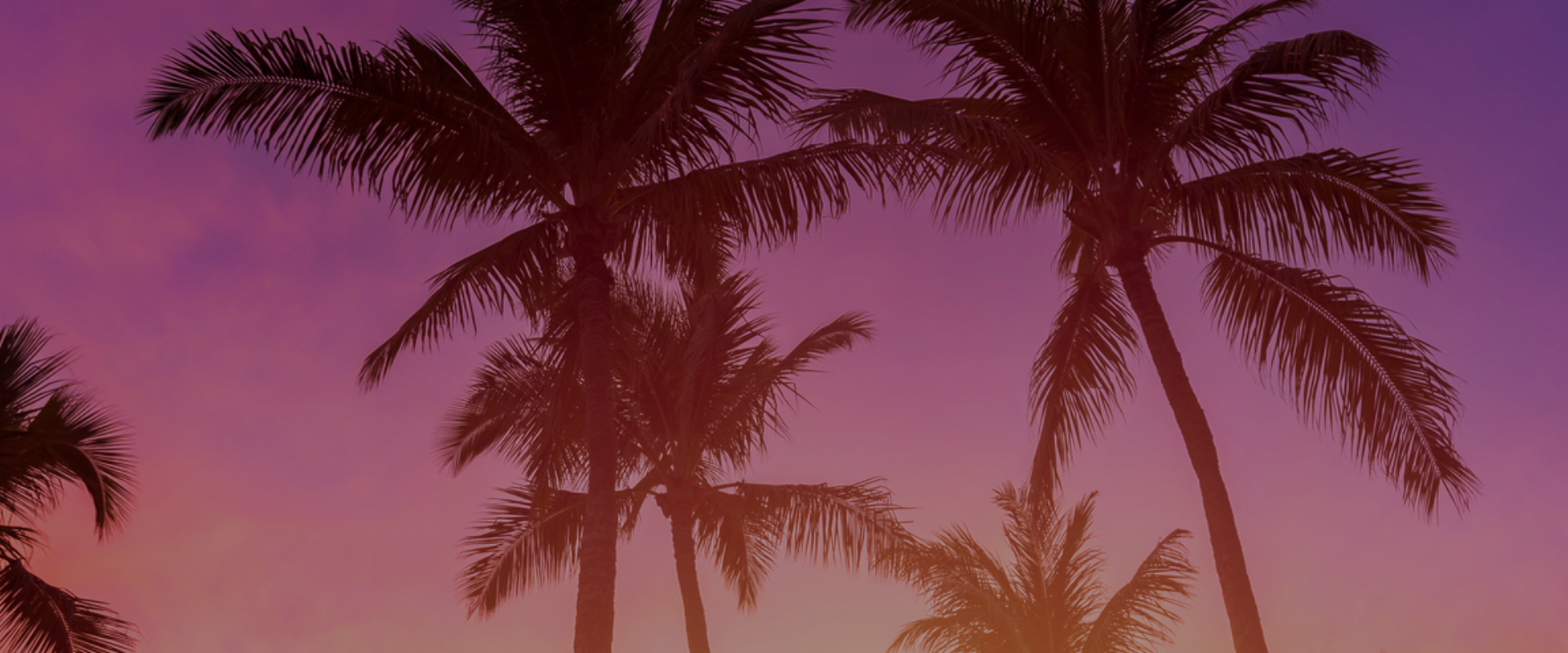 los-angeles-hero-1920x480-01