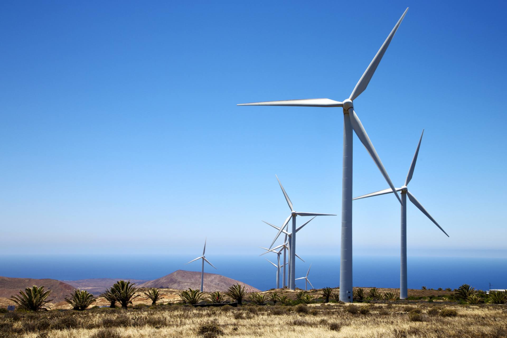 A scenic view of wind turbines in a field, contrasted by a bright blue sea and sky, representing sustainable energy production.