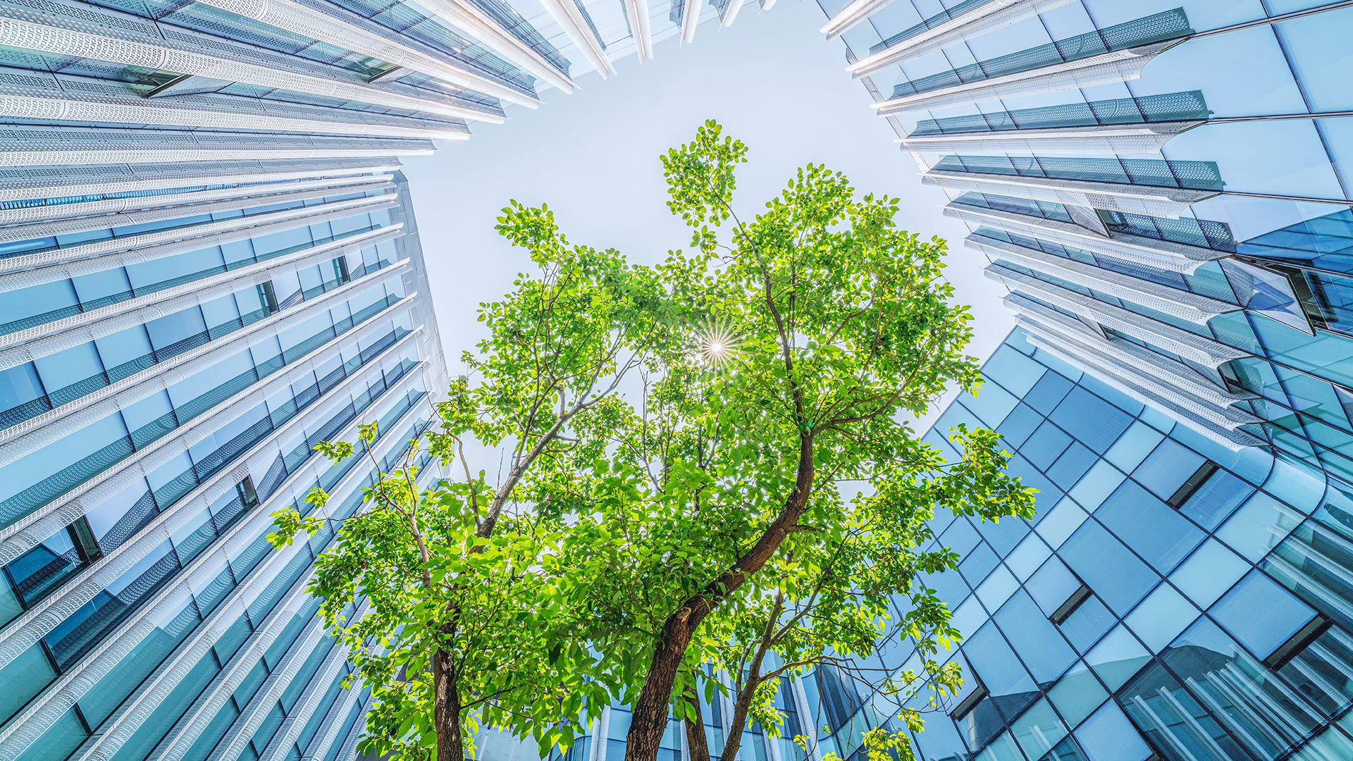 environmentalstrategy article