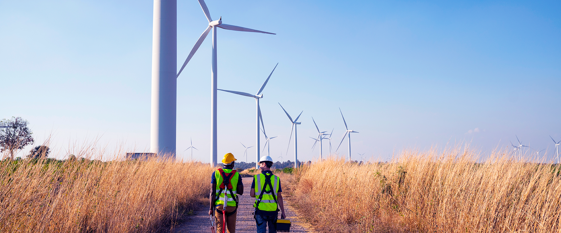 guidetosustainableandethicalsourcing article