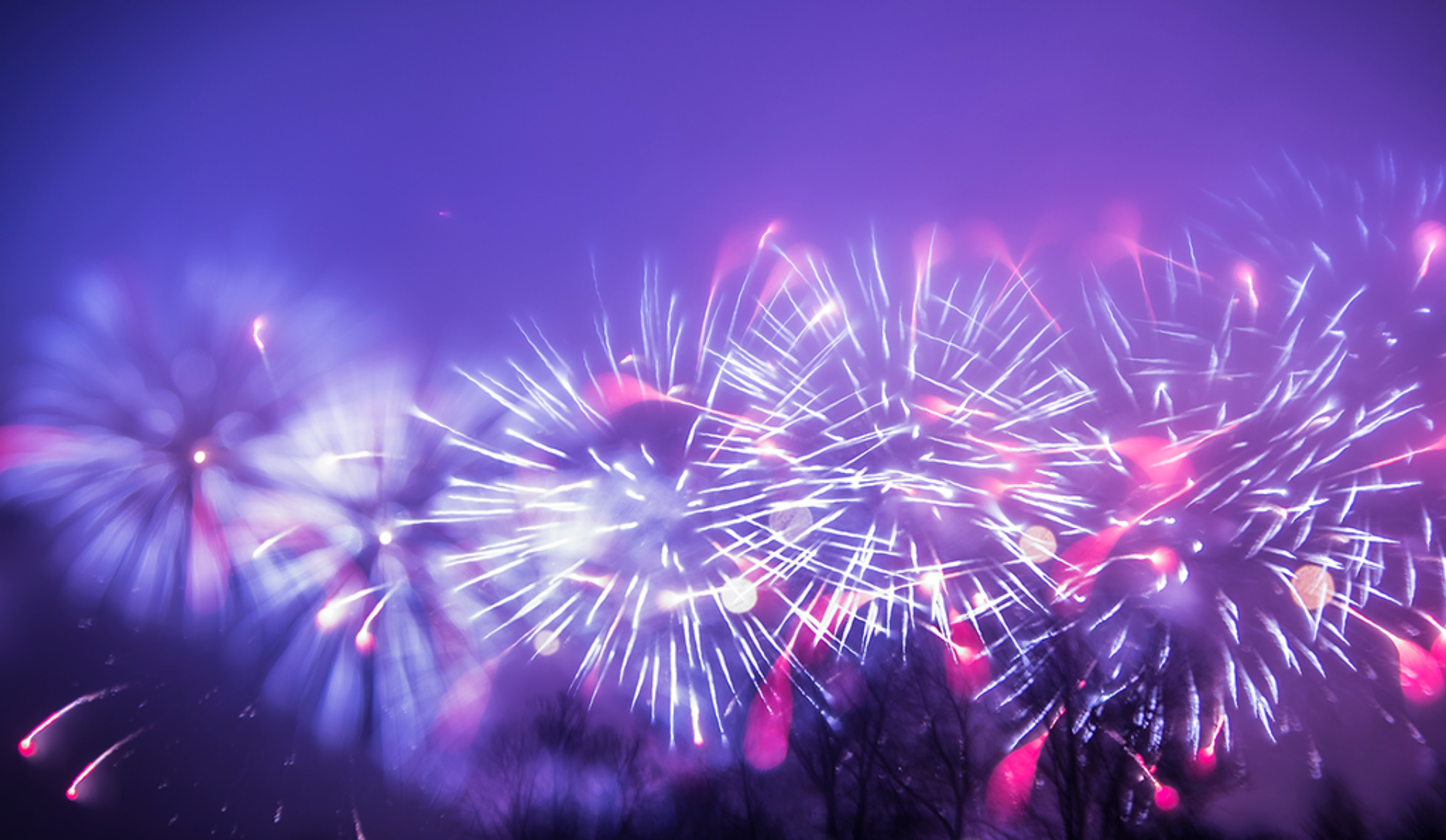 Fireworks explode in brilliant colors against the night sky, with trees providing a natural backdrop.